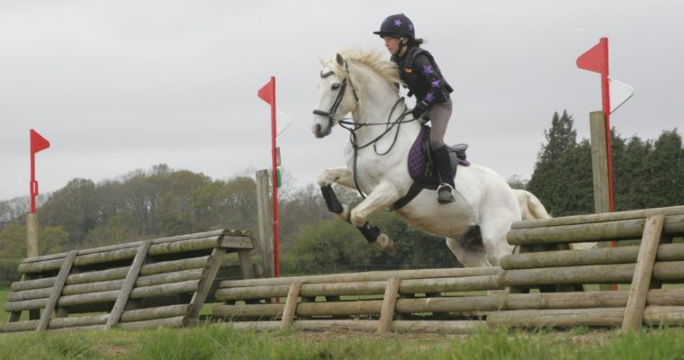 Lavant Equestrian