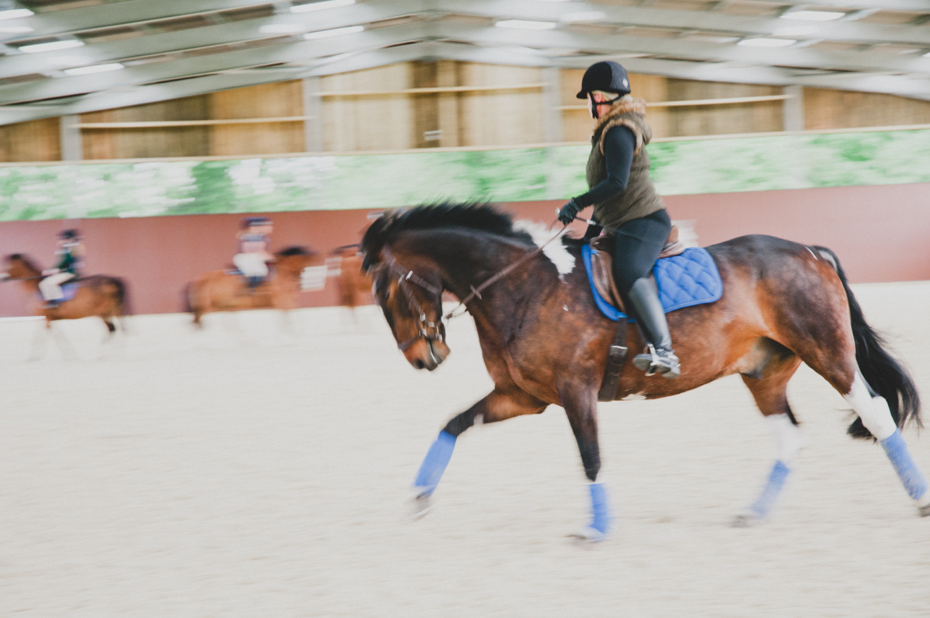 Understanding Dressage (Prelim 14 & Novice 24) Lavant Equestrian