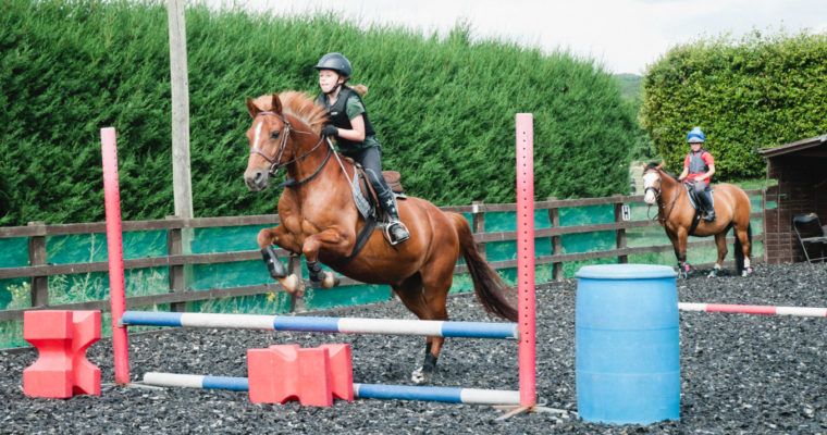 Lavant Equestrian