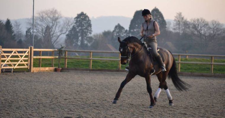 understanding dressage