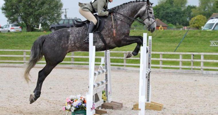 jumping clinic
