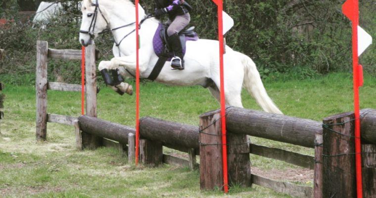livery cross county schooling