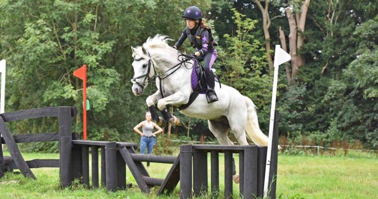clare's pony diary