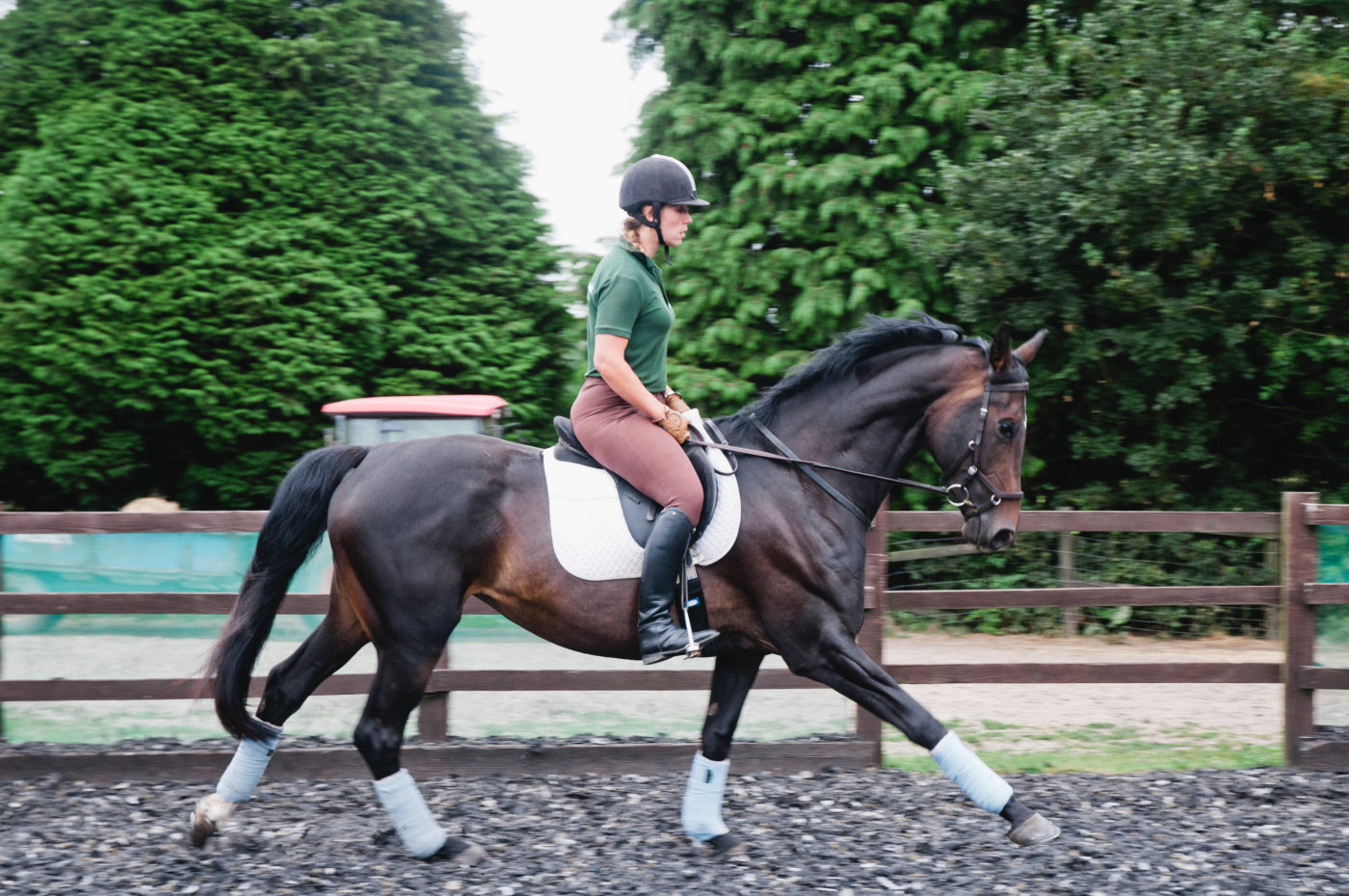 Understanding Dressage (Novice 28 & Prelim 10) Lavant Equestrian