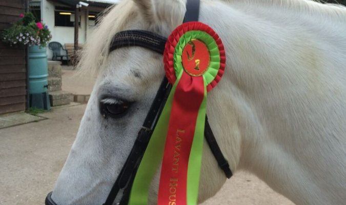 clare's pony diary