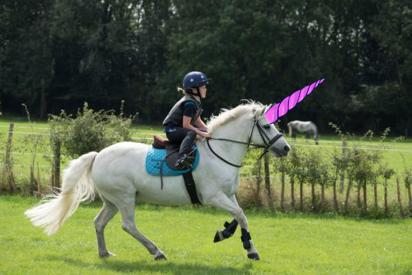 polo unicorn