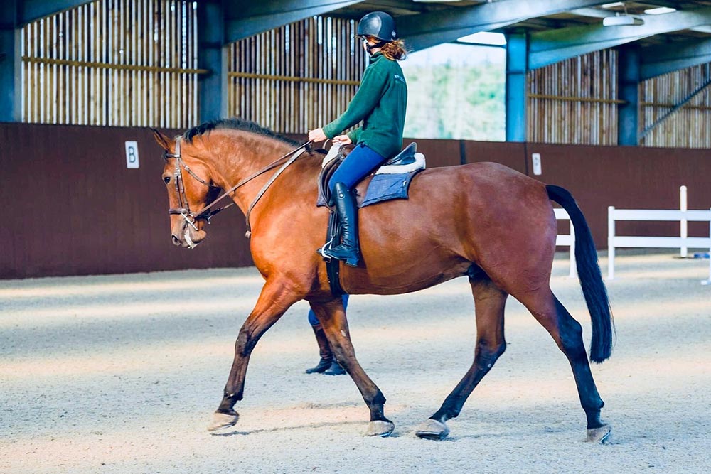 Horse riding arena in West Sussex