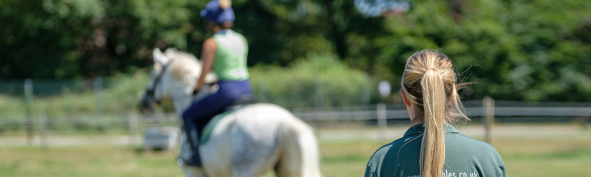Horse riding lesson
