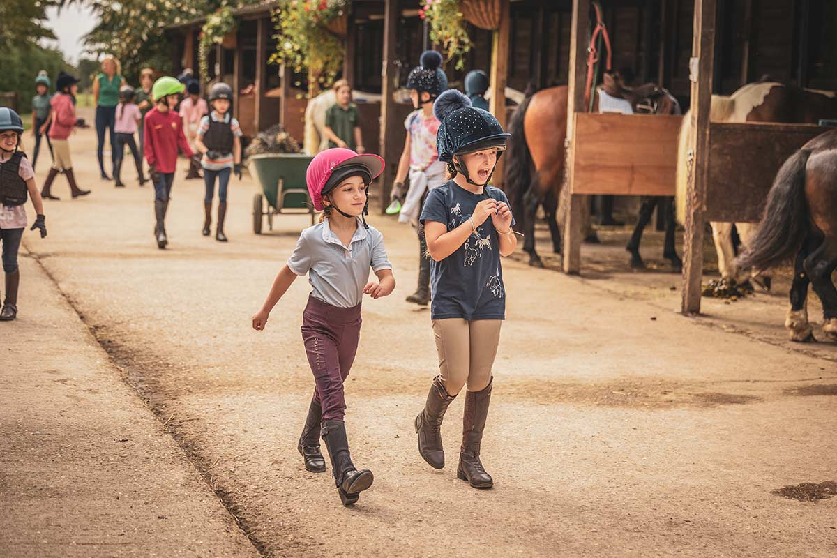 What's on - events at the stables