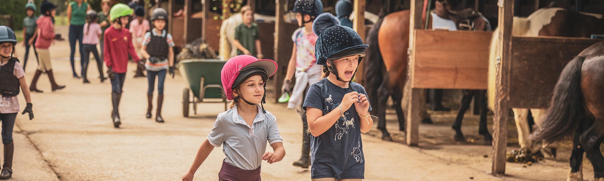 What's on at Lavant Equestrian