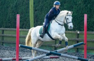 Adult horse jumping