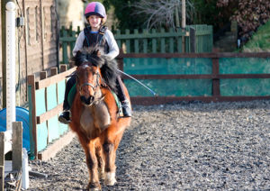 Child's riding lesson