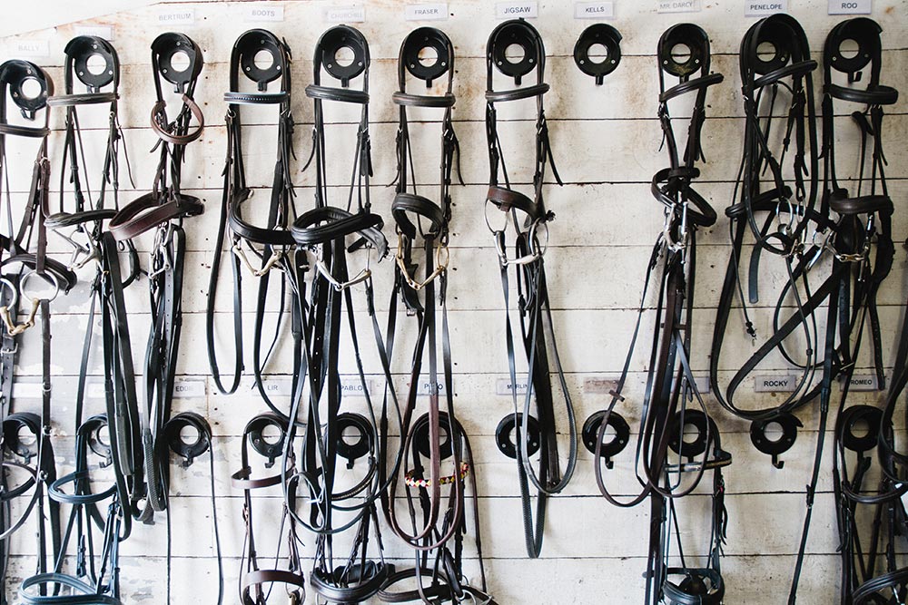 Horse bridle equipment