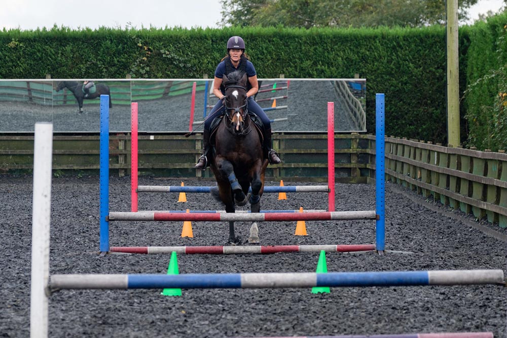 Horse jumping in equestrian enclosure