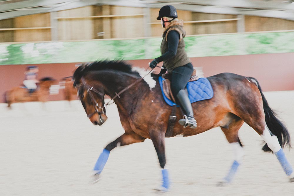Indoor horse riding arena for adults in Sussex and Hampshire