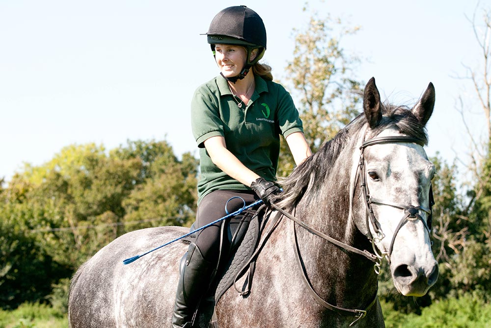 Horse riding lessons for adults