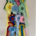 4 Day Camp horse riding event