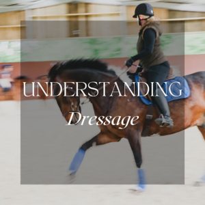 Understanding Dressage clinic at Lavant Equestrian