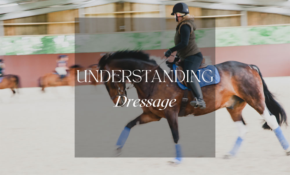 Understanding Dressage clinic at Lavant Equestrian
