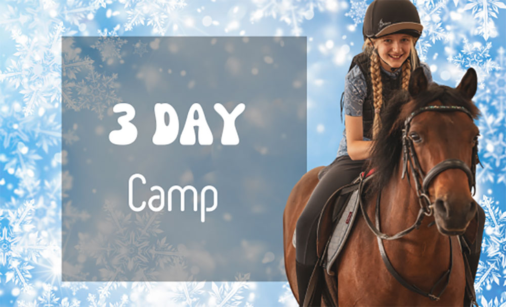 Winter/Christmas 3 Day Camp horse riding event for kids