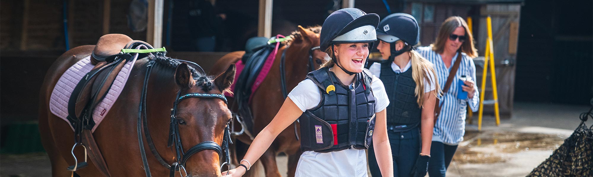 Horse care at stables